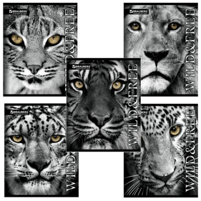 Картинка с сайта