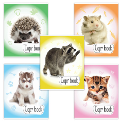 Картинка с сайта