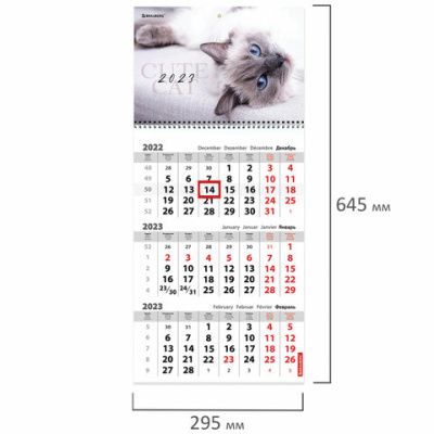 1669fcfbdaaf765d4a352a55cc6f2894_x