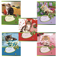 Картинка с сайта