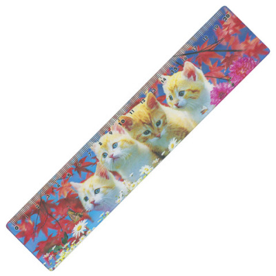 Картинка с сайта