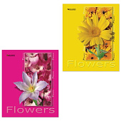 Картинка с сайта