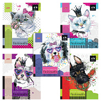 Картинка с сайта