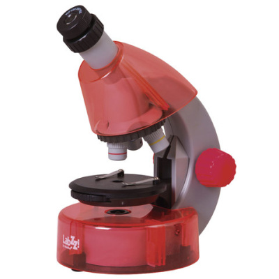 Картинка с сайта