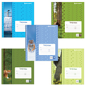 Картинка с сайта