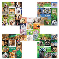 Картинка с сайта