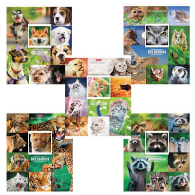 Картинка с сайта