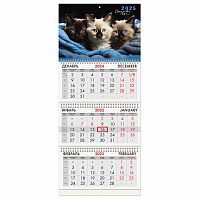 116138