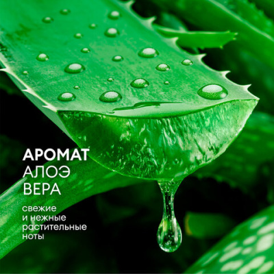 3df1b9912bb1c6208d0829b45556acd8_x