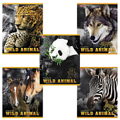 Картинка с сайта