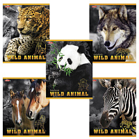 Картинка с сайта