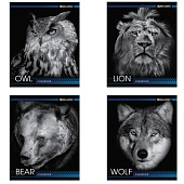 Картинка с сайта