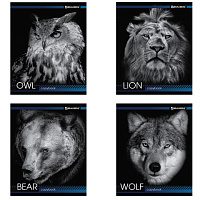 Картинка с сайта