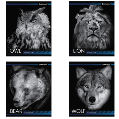 Картинка с сайта