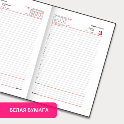 41d03718171ac254ca27aa268e97a019_x (2)