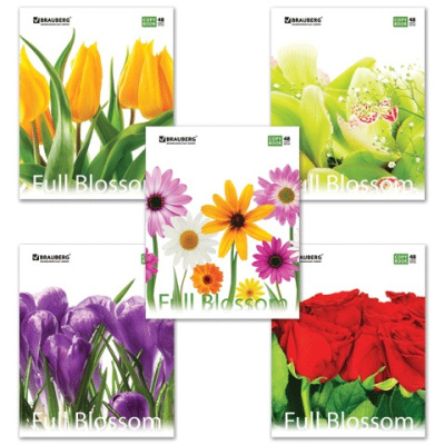 Картинка с сайта