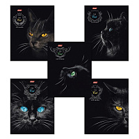 Картинка с сайта