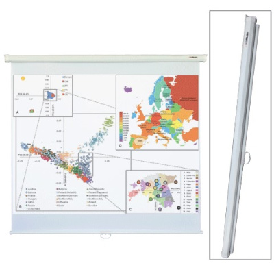 Картинка с сайта