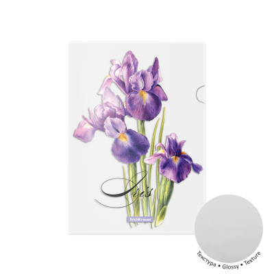 d4b3d7ecfdd8fbd518e4eaf084a47c71