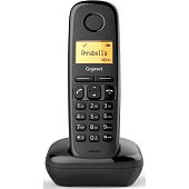 263101