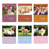 Картинка с сайта