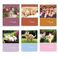 Картинка с сайта