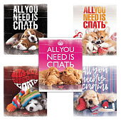 Картинка с сайта